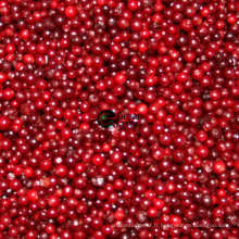 IQF surgelés Fruits d’airelle